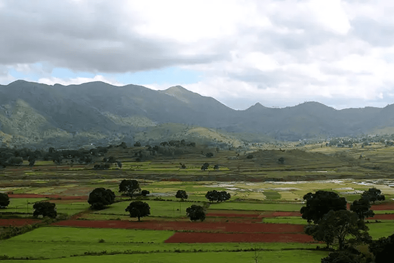 Hyderabad Araku valley Visakhapatnam Jagaddalpur Tour