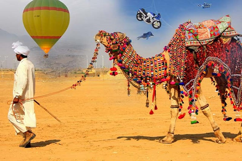 Rajasthan and Gujarat: A Journey Through Indias Cultur